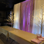 12-The royal hotel - backdrop w/purple and birch treess