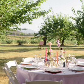 Partytree Events - Chairs and Tables