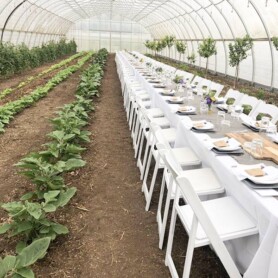 Partytree Events - Chairs and Tables