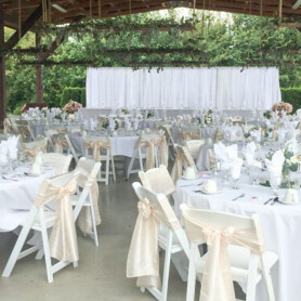 Partytree Events - Head Tables and Backdrops
