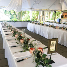 Partytree Events - Head Tables and Backdrops