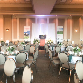 Partytree Events - Head Tables and Backdrops