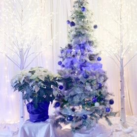 Partytree Events - Head Tables and Backdrops
